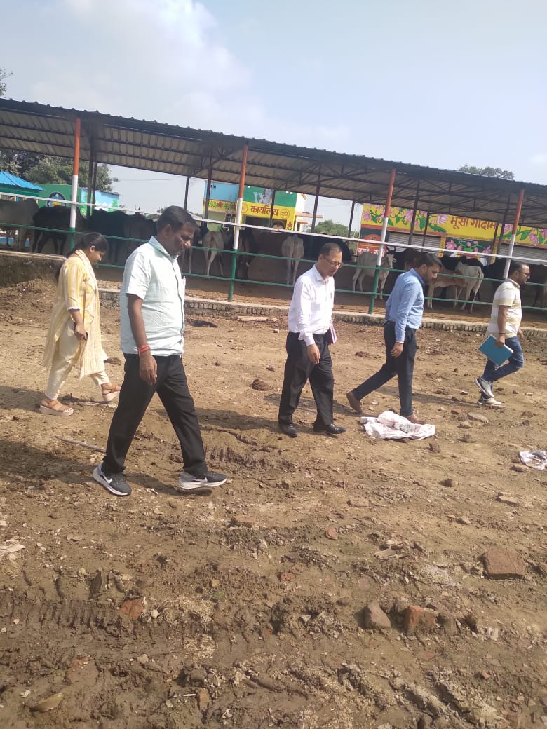 परियोजना निदेशक ग्राम विकास ने नवनिर्मित शांति गौशाला का निरीक्षण कर दिए निर्देश 