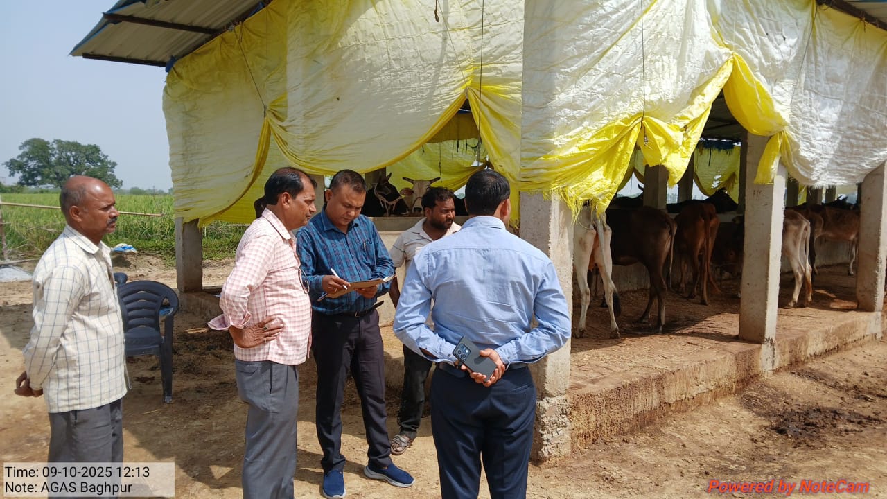 जिलाधिकारी कपिल सिंह के निर्देश पर जनपद की 81 गौशालाओं का एक साथ निरीक्षण