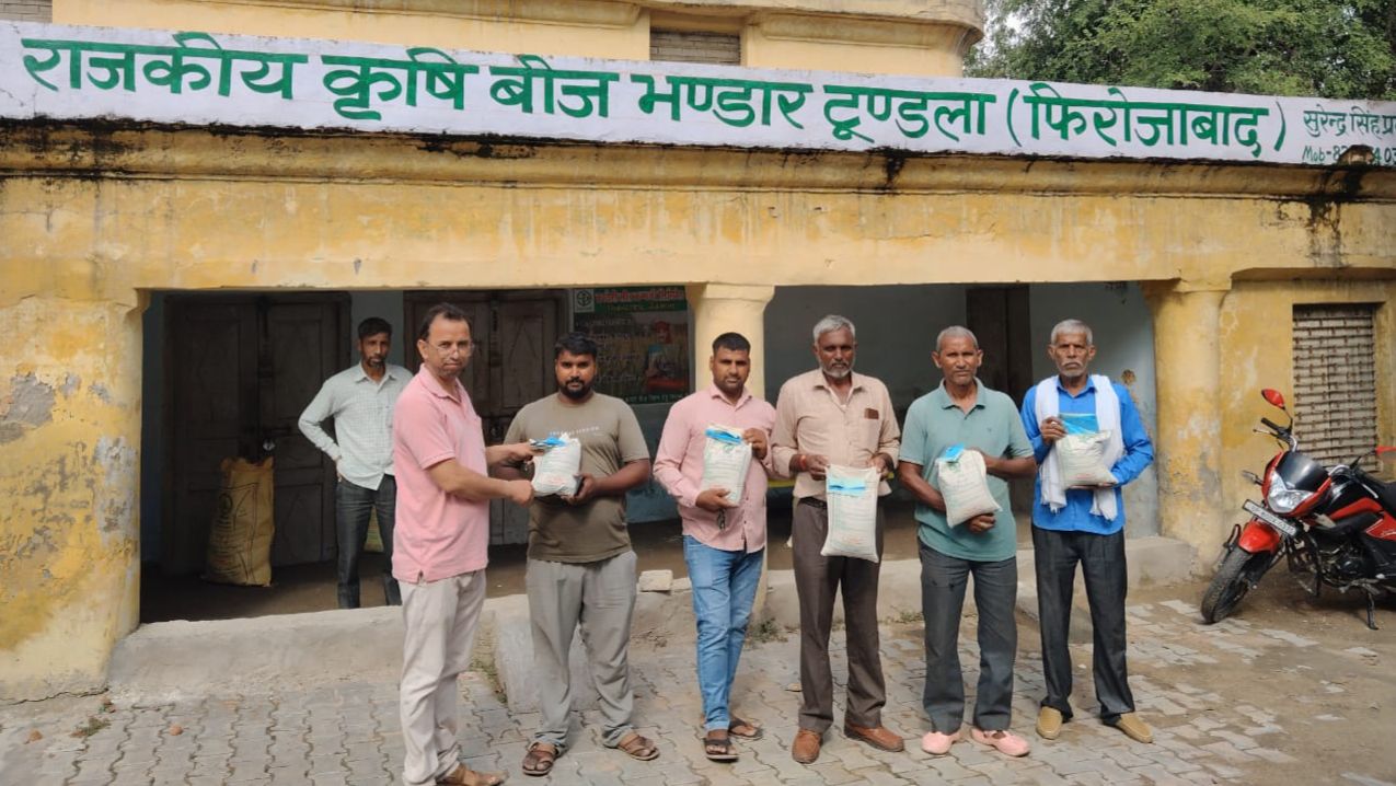 फिरोजाबाद में सरसों की बुवाई शुरू, किसानों को मिल रहे नि:शुल्क मिनी किट 