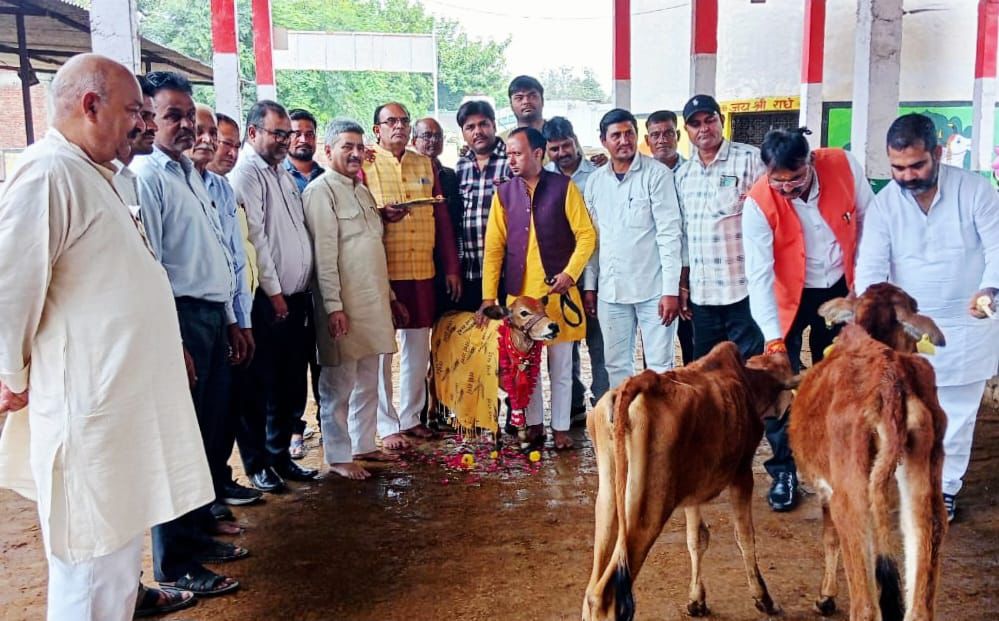गोपाष्टमी पर श्रीनगर पचोखरा गौशाला में गौपूजन