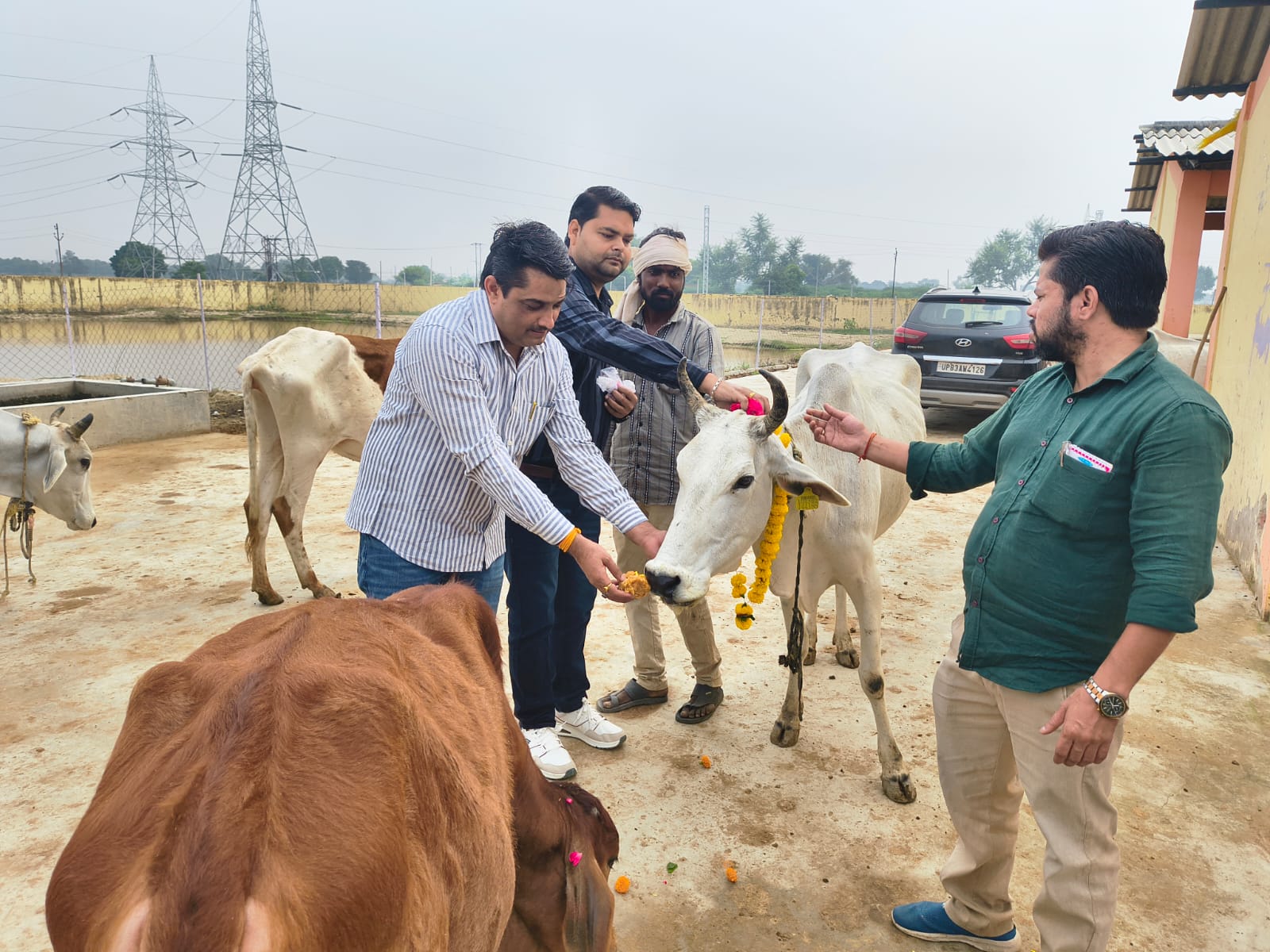 गौ-अष्टमी के अवसर पर गऊ माता की हुई पूजा अर्चना