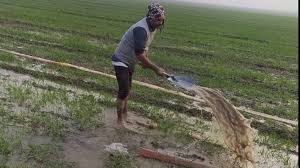 उप्र में कृषि क्षेत्र के लिए जनसंवाद एवं विचार-मंथन सत्र का होगा आयोजन