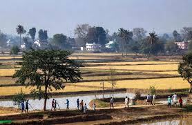 न्यायिक सक्रियता को न्यायिक दुस्साहस या न्यायिक आतंकवाद में नहीं बदलना चाहिए: प्रधान न्यायाधीश गवई