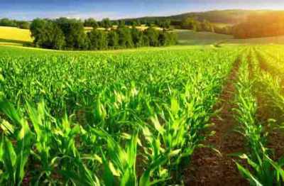 दुनिया की बढ़ती आबादी के लिए कृषि उत्पादन बढ़ाना एक चुनौती