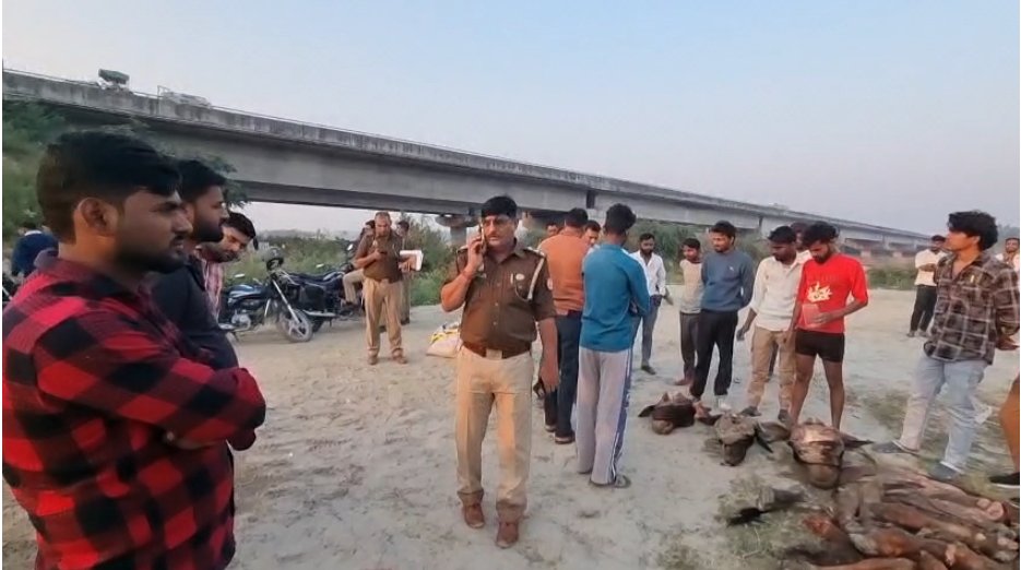 गोकशी की घटना से सनसनी, देवापुर पुल के नीचे मिले गोवंश के अवशेष