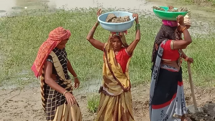 मंत्रिमंडल ने मनरेगा का नाम बदलकर ‘पूज्य बापू ग्रामीण रोजगार योजना’ करने वाले विधेयक को मंजूरी दी