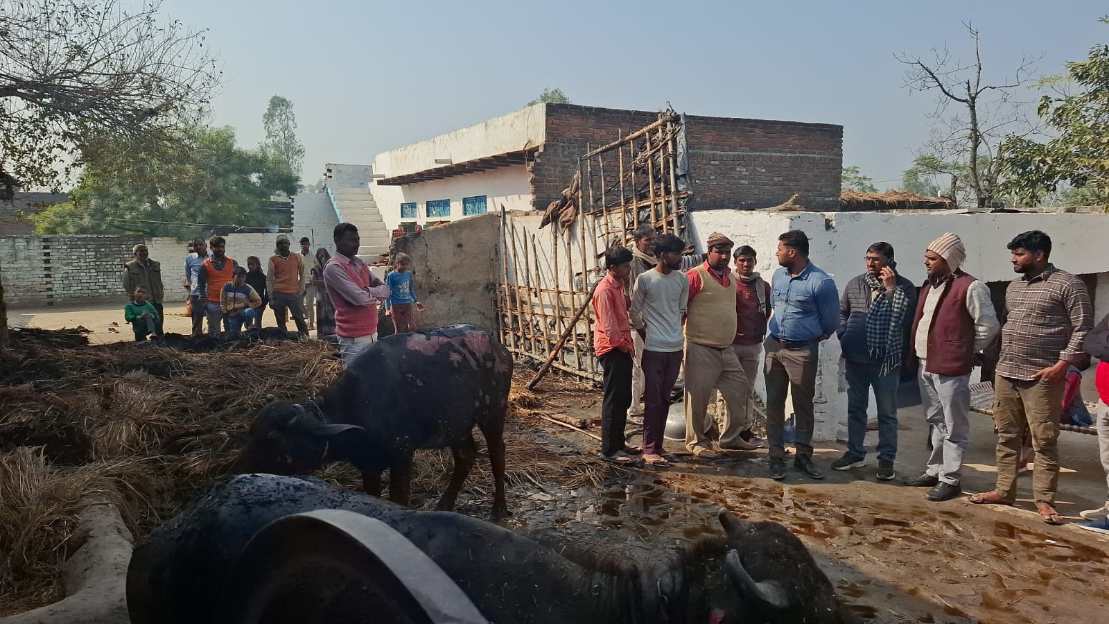 भिरावटी में भीषण अग्निकांड दो भैंसें झुलसीं 1500 से अधिक गेहूं के पूले जलकर हुए राख