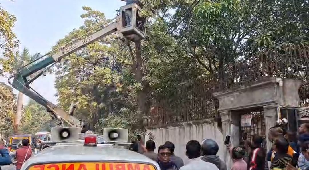 पेड़ों की छटाई करते समय हाई-टेंशन लाइन की चपेट में आया मजदूर, मौके पर हुई मौत