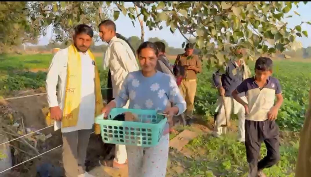 नगला सदासुख गुदाऊ में कुएं में गिरे कुत्ते के बच्चों को ग्रामीणों व पुलिस ने बचाया