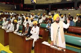 एनएपीए ने पंजाब विधानसभा के विशेष सत्र बुलाने के मकसदों को लेकर प्रश्न खड़ा किया