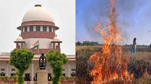 वायु प्रदूषण की चिंताओं के बीच ‘ऑटो फेस्टिवल’ कराने के लिए दाखिल अर्जी पर विचार करें : अदालत