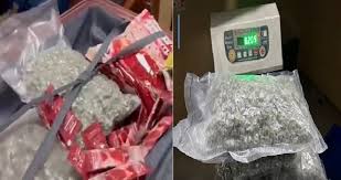 दिल्ली हवाई अड्डे पर 8.77 किलोग्राम गांजा जब्त, दो यात्री गिरफ्तार