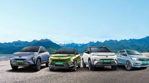 टाटा मोटर्स ने बजट में शुरुआती स्तर के इलेक्ट्रिक वाहनों के लिए प्रोत्साहन की मांग की