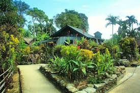 मेघालय: ‘एशिया का सबसे स्वच्छ गांव’ सप्ताह में एक दिन रविवार को पर्यटकों के लिए बंद रहेगा