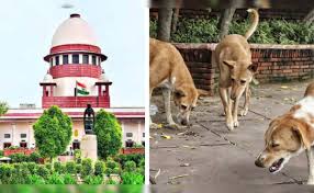 न्यायालय ने आवारा कुत्तों संबंधी पूर्व के आदेश में संशोधन संबंधी याचिका पर फैसला सुरक्षित रखा