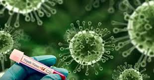 निपाह वायरस से जानलेवा संक्रमण, मृत्यु दर 40-75 फीसदी हो सकती है, अभी कोई इलाज या टीका नहीं