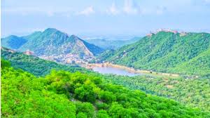 अरावली को बार-बार उजाड़ा जा रहा, लेकिन सरकार की ओर से नहीं हो रही कार्रवाई : डोटासरा