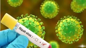 भारत में निपाह वायरस के मामले सामने आने के मद्देनजर घबराने की जरूरत नहीं: दक्षिण अफ्रीका