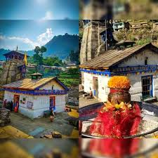 तमिलनाडु भर में महाशिवरात्रि पारंपरिक रूप से हर्षोल्लास के साथ मनाई गई