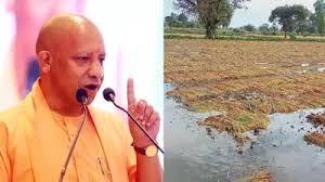 उत्तर प्रदेश के मुख्यमंत्री ने बारिश से फसलों को हुए नुकसान के आकलन का निर्देश दिया