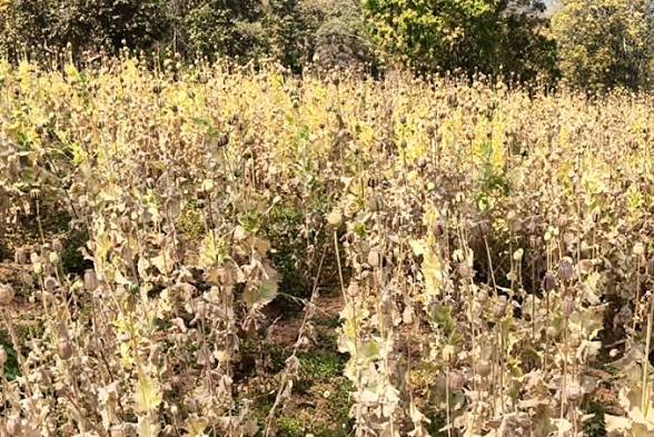 सरकार ने गेहूं, धान की खरीद में आढ़तियों, सहकारी समितियों का कमीशन बढ़ाया