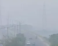 दिल्ली: जनवरी से अक्टूबर तक की अवधि के दौरान आठ वर्षों में वायु गुणवत्ता का स्तर सबसे अच्छा