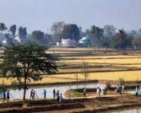 न्यायिक सक्रियता को न्यायिक दुस्साहस या न्यायिक आतंकवाद में नहीं बदलना चाहिए: प्रधान न्यायाधीश गवई