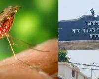 मच्छरों की बढ़ती तादात, एंटी लार्वा का नहीं हुआ छिड़काव