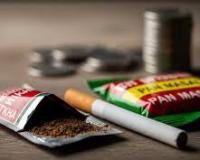 तंबाकू, पान मसाला पर उत्पाद शुल्क और उपकर लगाने से संबंधित दो विधेयक लोकसभा में पेश