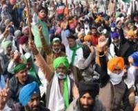 पंजाब और हरियाणा में पराली जलाने की घटनाएं गत पांच साल में न्यूनतम स्तर पर : सीएक्यूएम