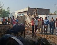 भिरावटी में भीषण अग्निकांड दो भैंसें झुलसीं 1500 से अधिक गेहूं के पूले जलकर हुए राख