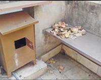 फिरोजाबाद में मंदिर के दानपात्र से नकदी चोरी