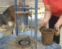 पौधारोपण गतिविधियों में पॉलीथीन ग्रो बैग्स की जगह होगा गोबर से बने आर्गेनिक गमलों का प्रयोग 