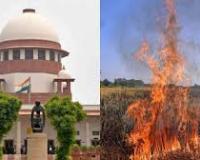 वायु प्रदूषण की चिंताओं के बीच ‘ऑटो फेस्टिवल’ कराने के लिए दाखिल अर्जी पर विचार करें : अदालत