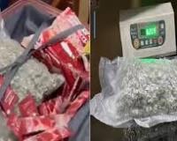 दिल्ली हवाई अड्डे पर 8.77 किलोग्राम गांजा जब्त, दो यात्री गिरफ्तार