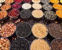 अमेरिकी सांसदों का ट्रंप से आग्रह, व्यापार समझौते में दालों पर आयात शुल्क कम करे भारत