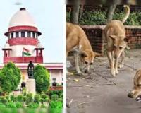 न्यायालय ने आवारा कुत्तों संबंधी पूर्व के आदेश में संशोधन संबंधी याचिका पर फैसला सुरक्षित रखा