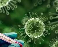 निपाह वायरस से जानलेवा संक्रमण, मृत्यु दर 40-75 फीसदी हो सकती है, अभी कोई इलाज या टीका नहीं