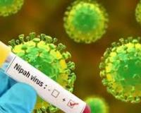 भारत में निपाह वायरस के मामले सामने आने के मद्देनजर घबराने की जरूरत नहीं: दक्षिण अफ्रीका