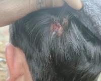 सूरजपुर गांव में विद्युत नोडल अधिकारी के साथ मारपीट, सरकारी दस्तावेज फाड़े