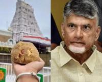 तिरुपति लड्डू मिलावट मामले में जांच निष्कर्षों को छिपाना जनता के साथ विश्वासघात होगा: नायडू