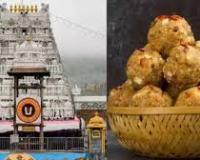 तिरुपति लड्डू के लिए मिलावटी घी का इस्तेमाल कर ‘संगठित गिरोहों ने अपवित्रता’ की : नायडू