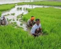 बजट की पंजाब सरकार और हरियाणा विपक्ष ने की आलोचना; किसानों के लिए कुछ नहीं