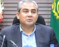 पाकिस्तान के गृहमंत्री का बेतुका आरोप, भारत हमारे देश में उग्रवादी संगठनों की मदद कर रहा