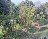 बोलेरो व ऑटो में आमने-सामने से हुई जोरदार टक्कर, एक की मौत, तीन घायल 