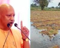 उत्तर प्रदेश के मुख्यमंत्री ने बारिश से फसलों को हुए नुकसान के आकलन का निर्देश दिया