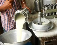 भारत का दूध उत्पादन 2025 में बढ़कर हुआ 24.7 करोड़ टन