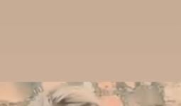 मक्खनपुर में नहर में डूबे किशोर का शव पांच दिन बाद मिला