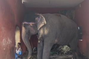 Jharkhand से अगवा 'जयामति' पूर्व केंद्रीय मंत्री Rajiv Pratap Rudi के गांव के पास से बरामद