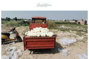 मुजफ्फरनगर: खाद्य विभाग की कार्रवाई, खालापार से जब्त कई सौ किलो मावा किया नष्ट     